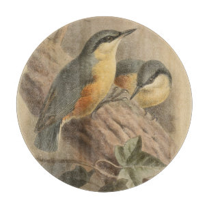 Vintage av nuthatch