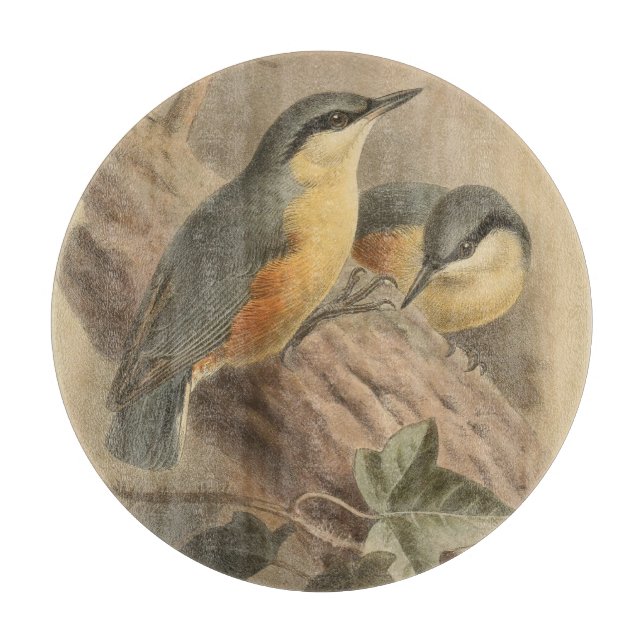 Vintage av nuthatch (Framsidan)