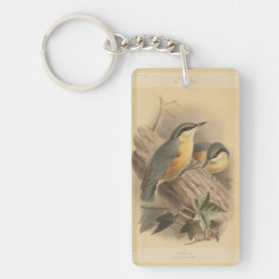 Vintage av nuthatch