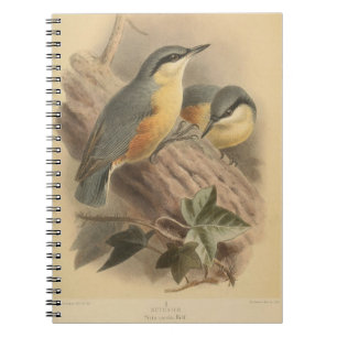 Vintage av nuthatch anteckningsbok