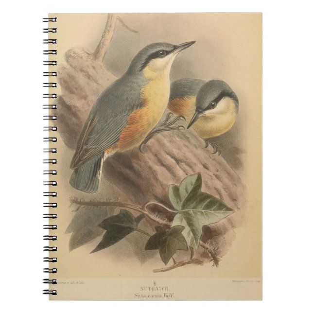 Vintage av nuthatch anteckningsbok (Framsidan)