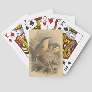 Vintage av nuthatch casinokort
