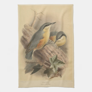 Vintage av nuthatch kökshandduk