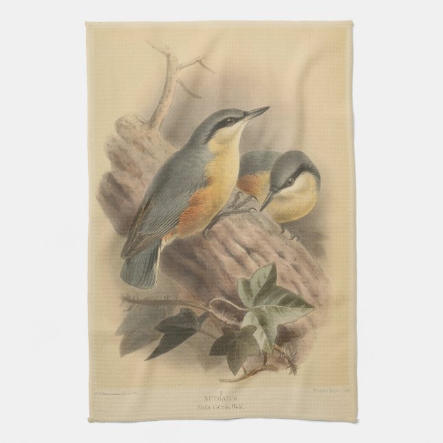 Vintage av nuthatch kökshandduk (Vertikal)