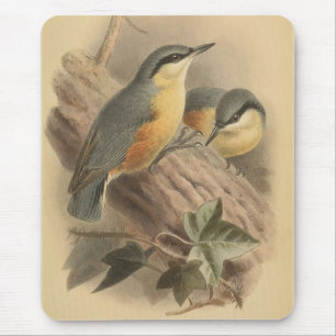 Vintage av nuthatch musmatta