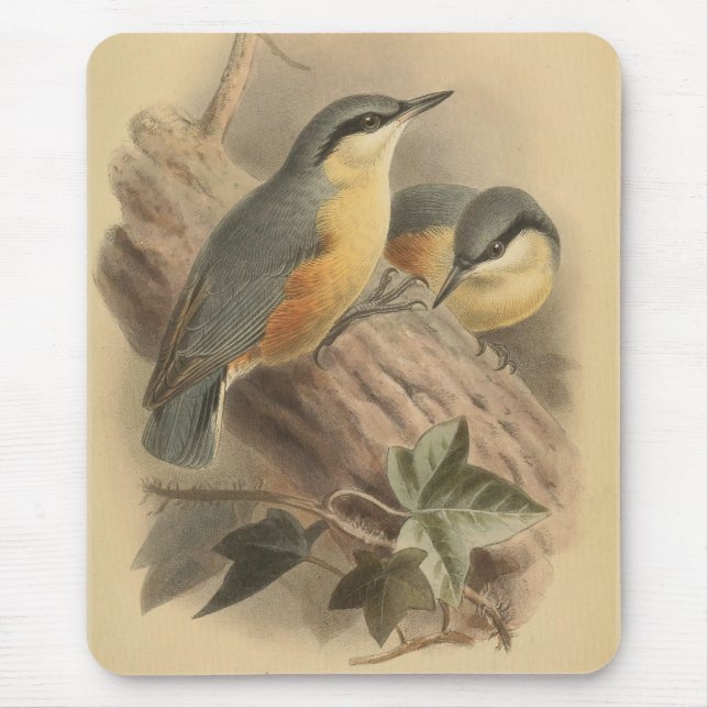 Vintage av nuthatch musmatta (Framsidan)