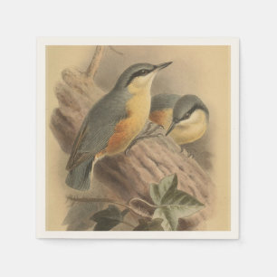 Vintage av nuthatch pappersservett
