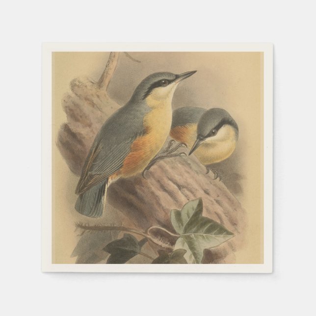 Vintage av nuthatch pappersservett (Framsidan)