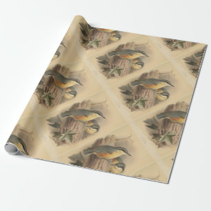 Vintage av nuthatch presentpapper
