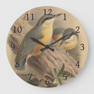 Vintage av nuthatch stor klocka