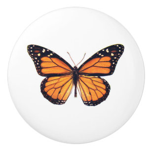 Vintage av vacker monarch Butterfly Knopp