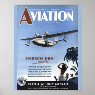 Vintage Aviation Magazine Airplan Cover Art Skriv Poster