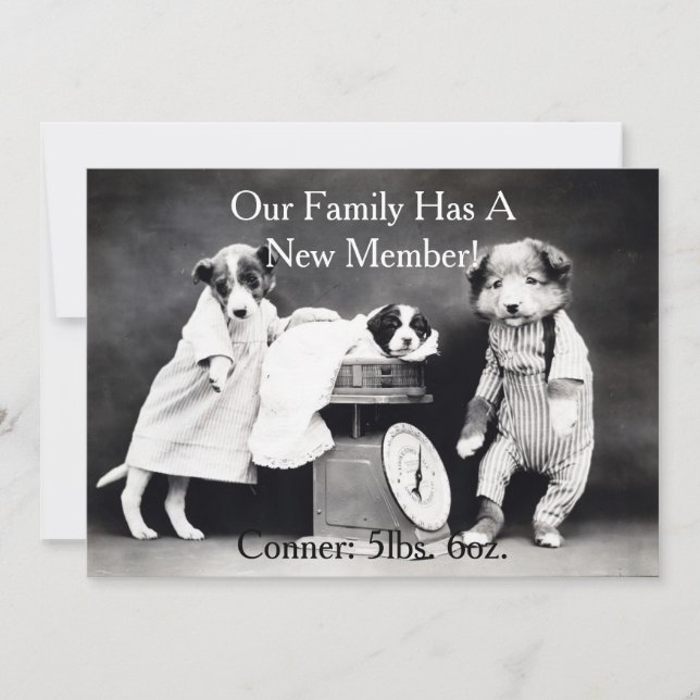 Vintage B&W Hundar - nytt meddelande om dockning (Framsida)