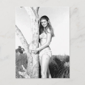 Vintage B&W Photo Florida Bikini Girl Vykort