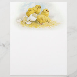 Vintage Baby Chickens