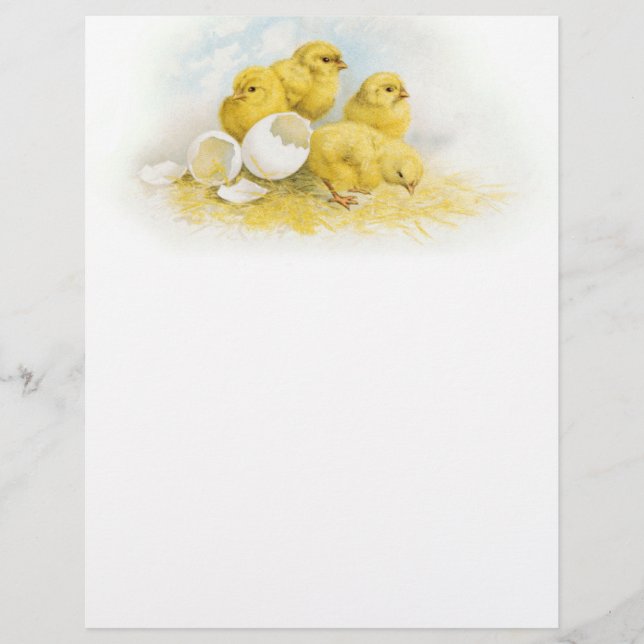 Vintage Baby Chickens (Framsida)