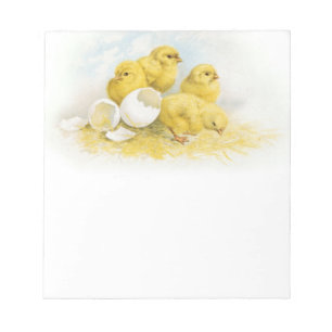 Vintage Baby Chickens Anteckningsblock