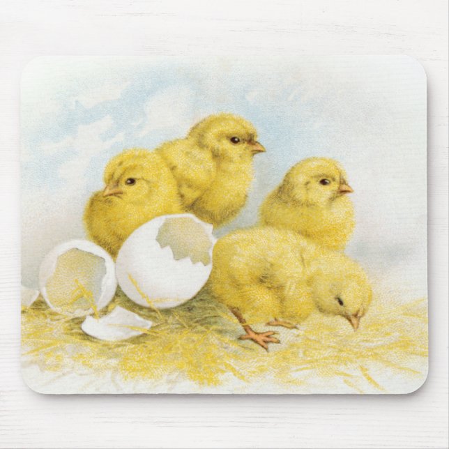 Vintage Baby Chickens Musmatta (Framsidan)