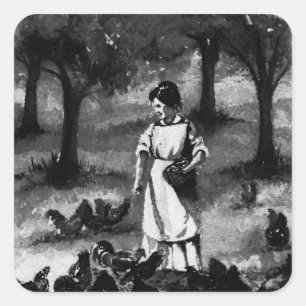 Vintage Backyard Chicken Farmer Fyrkantigt Klistermärke