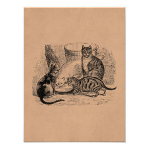 Vintage Barn Cats 1800s Illustration-mall för kat Fototryck