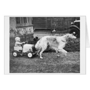 Vintage - barns bil som dras av hunden, hälsningskort
