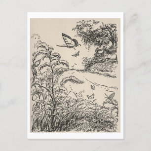 Vintage Barns Bok Illustration Butterflies Vykort