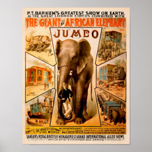 Vintage Barnums jumbo Poster