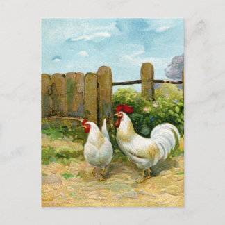 Vintage Barnyard Scene Vykort