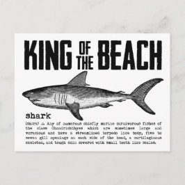 Vintage Beach Kung Shark Definition Black n White Vykort