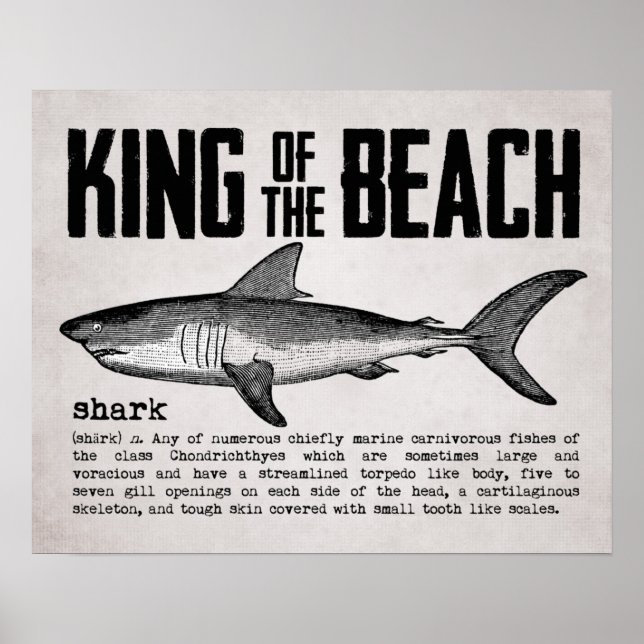 Vintage Beach Kung Shark Definition Poster (Framsidan)
