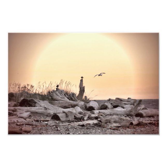 Vintage Beach-scen Fototryck (Framsidan)