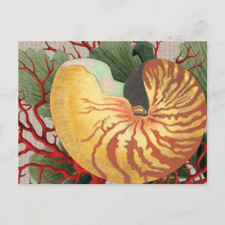 Vintage Beach Seashell & Red Coral Postcard Vykort