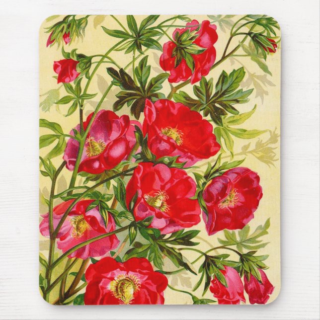 Vintage Beauties Blommigt Mousepad Musmatta (Framsidan)