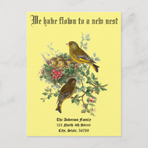 Vintage Bebis Fågelbo Ny Hem Annonsering Meddelande Vykort