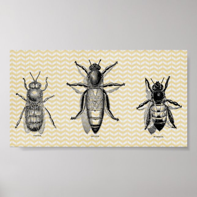 Vintage Bee Art Poster (Framsidan)