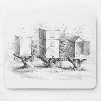 Vintage Bee Boxes Honung Musmatta