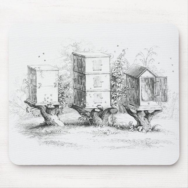 Vintage Bee Boxes Honung Musmatta (Framsidan)