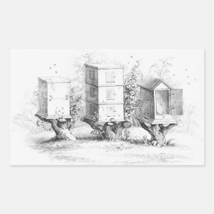 Vintage Bee Boxes Honung Rektangulärt Klistermärke