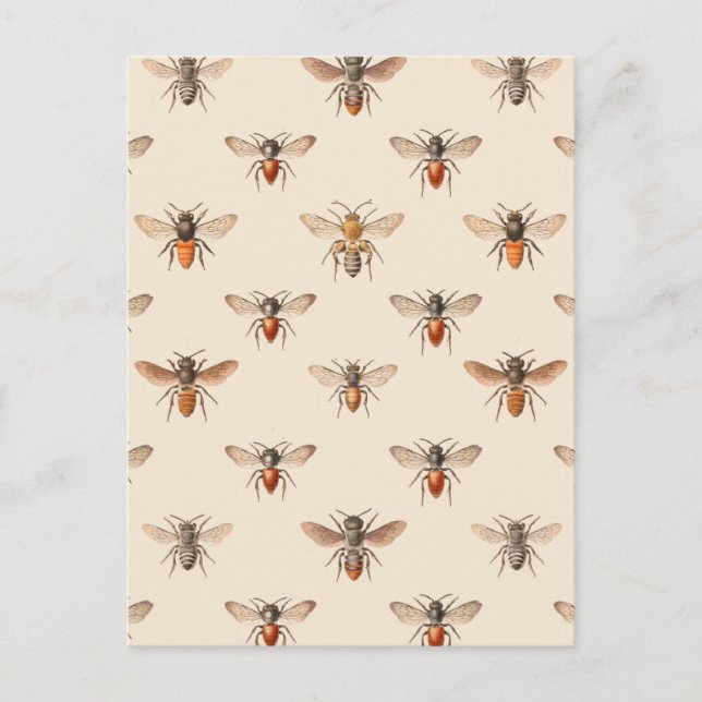 Vintage Bee Illustration Mönster Vykort (Framsida)