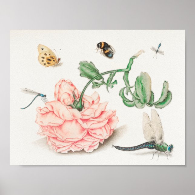 Vintage Bee Illustration Poster (Framsidan)