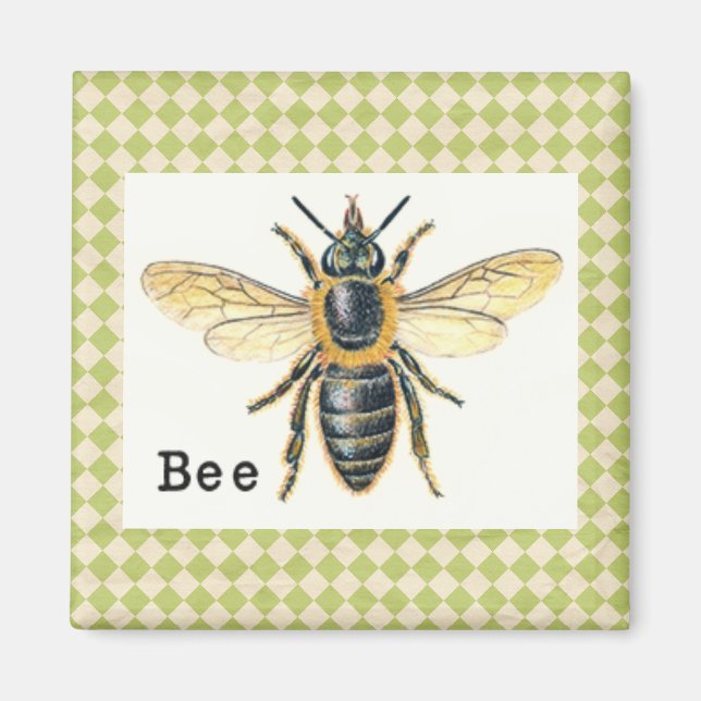 Vintage Bee Primer Magnet (Framsidan)