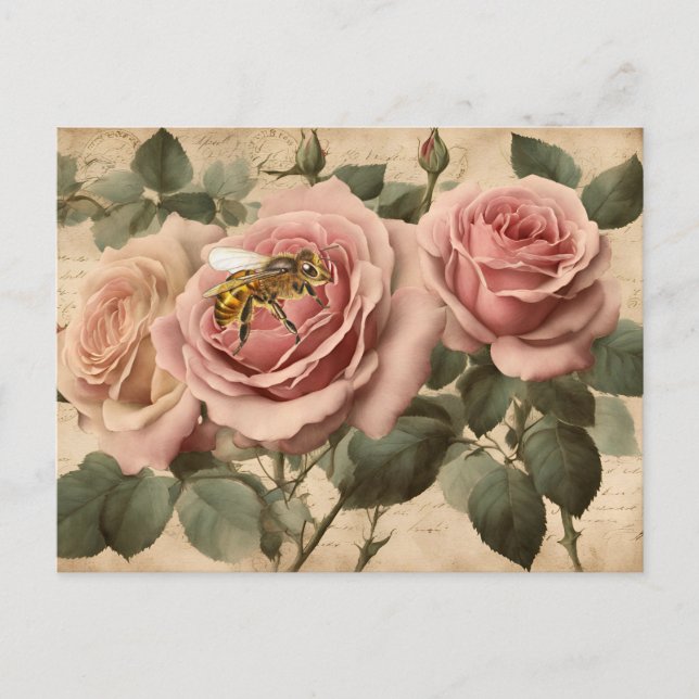 Vintage Bee Rosa ros avoupage Vykort (Framsida)