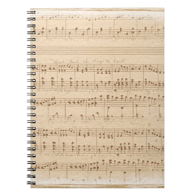 Vintage beige musik noter anteckningsbok (Framsidan)
