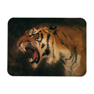Vintage Bengalisk Tiger Stort Kattdjur rytande, Vi Magnet
