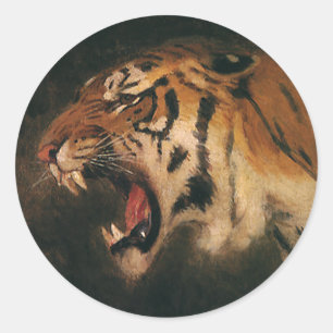 Vintage Bengalisk Tiger Stort Kattdjur rytande, Vi Runt Klistermärke