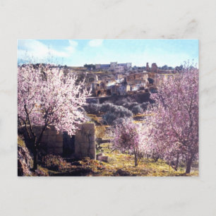 Vintage berget av oliver Jerusalem Israel 1950-77 Vykort
