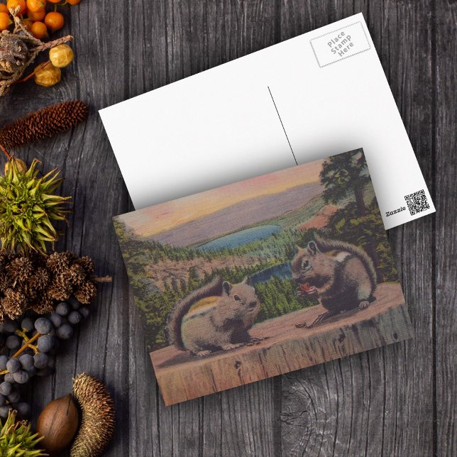 Vintage Bergscen för ekorrar Vykort (Two chipmunks eating nuts on tree stump in forest with lake on postcard.)
