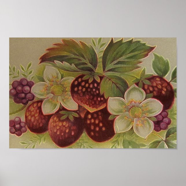 Vintage Berries Poster (Framsidan)