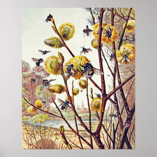 Vintage Bes Insektra Vår Willow Blommar Small Poster (Framsidan)