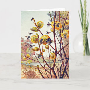 Vintage Bes Insektra Vår Willow-Blommarna Kort